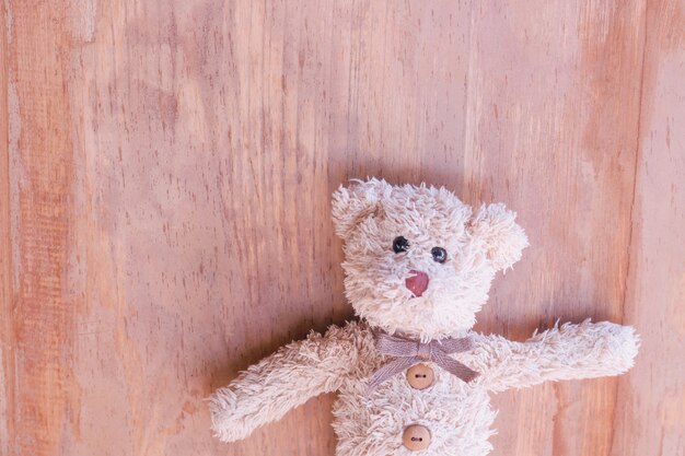 Cute teddy bear está olhando para mim com amor