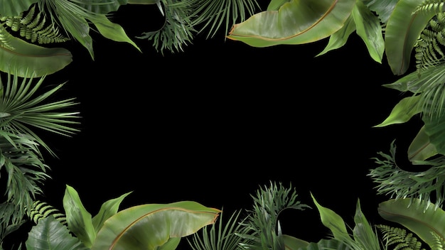 D renderizar quadro de plantas tropicais em um fundo preto