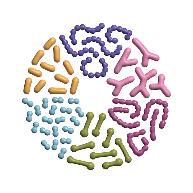 D representar tipos de bacterias probióticas en forma de círculo buena microbiota con bacilos prebióticos saludables