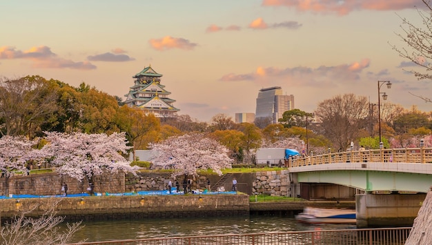 Dämmerung auf der Burg von Osaka während der Kirschblütenzeit