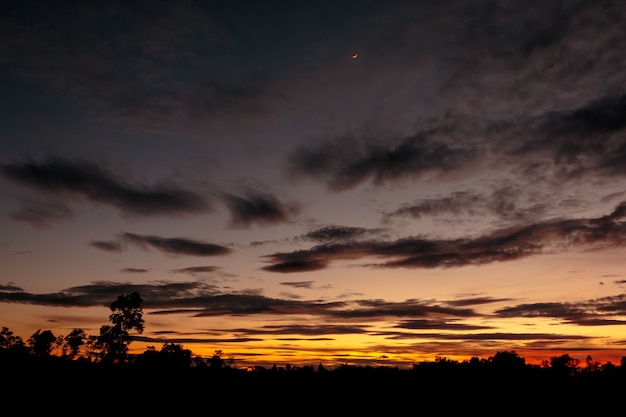 Dämmerung Himmel und regnerische Wolke mit Baum. Hohes Geräusch Nachthimmel mit Wolke