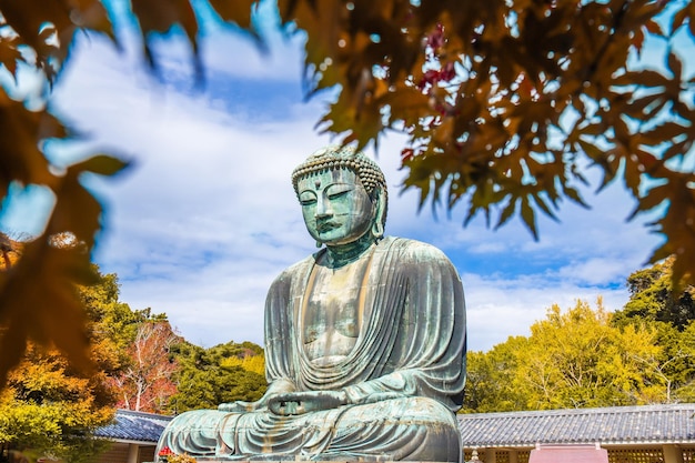 Daibutsu oder der Große Buddha von Kamakura im Kotokuin-Tempel in der Präfektur Kanagawa, Japan, mit Farbe verändernden Blättern Es ist ein wichtiges Wahrzeichen und ein beliebtes Ziel für Touristen und Pilger