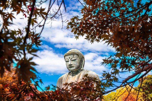 Daibutsu ou Grande Buda de Kamakura no Templo Kotokuin, na Prefeitura de Kanagawa, Japão, com folhas que mudam de cor. É um marco importante e um destino popular para turistas e peregrinos.