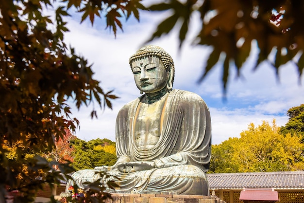 Foto daibutsu ou grande buda de kamakura no templo kotokuin, na prefeitura de kanagawa, japão, com folhas que mudam de cor. é um marco importante e um destino popular para turistas e peregrinos.