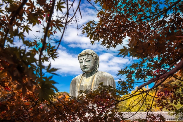 Daibutsu ou Grande Buda de Kamakura no Templo Kotokuin, na Prefeitura de Kanagawa, Japão, com folhas que mudam de cor. É um marco importante e um destino popular para turistas e peregrinos.