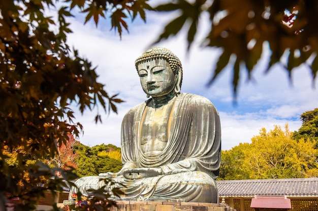 Daibutsu ou Grande Buda de Kamakura no Templo Kotokuin, na Prefeitura de Kanagawa, Japão, com folhas que mudam de cor. É um marco importante e um destino popular para turistas e peregrinos.
