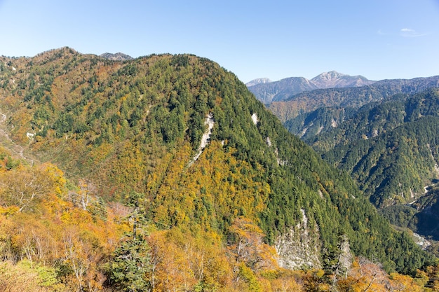 Daikanbo im Herbst