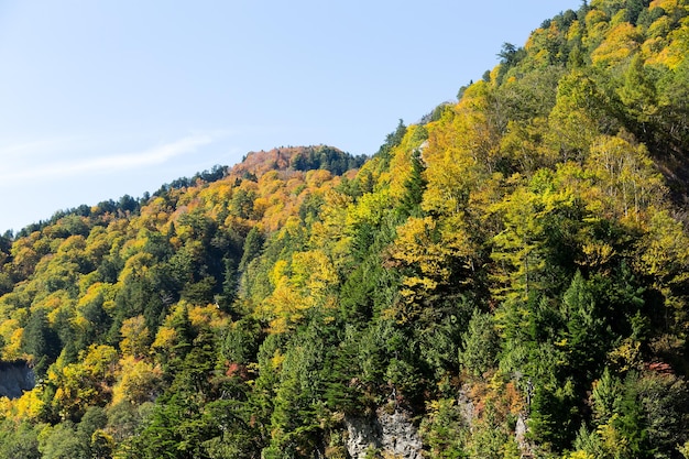 Daikanbo in Japan