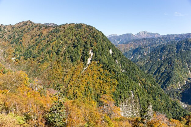 Daikanbo en otoño