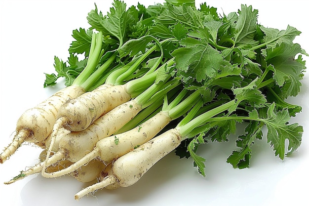 Daikon de vegetais frescos para cozinha vegana