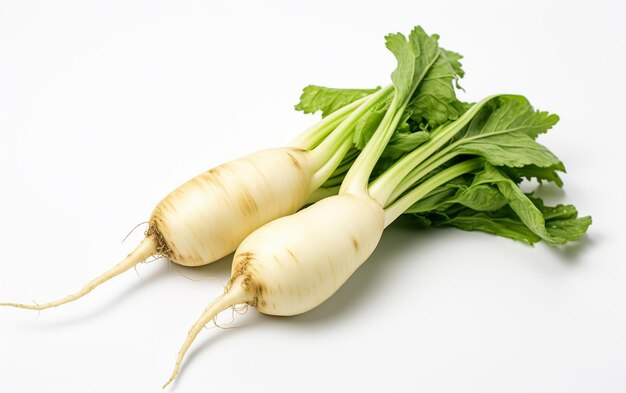 Daikon en un fondo blanco