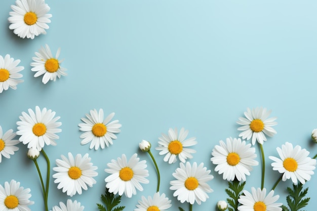 Daisy Dreams Impressionante maquete de cartão de saudação ou convite em branco com flores brancas frescas e amplo C