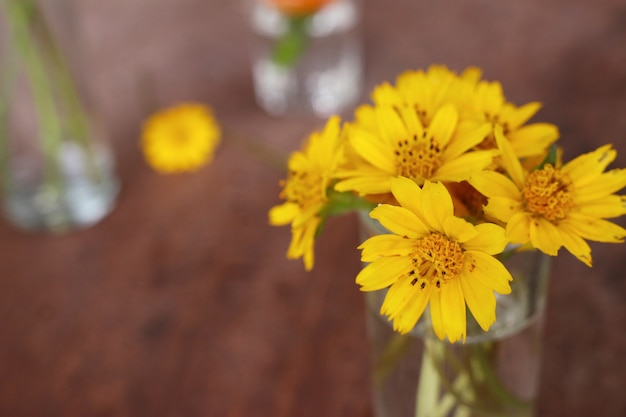 Daisy flores en el florero