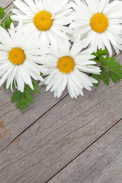 Daisy flores de manzanilla en la mesa de madera