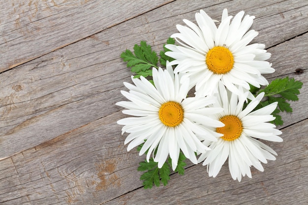 Foto daisy flores de manzanilla sobre fondo de madera