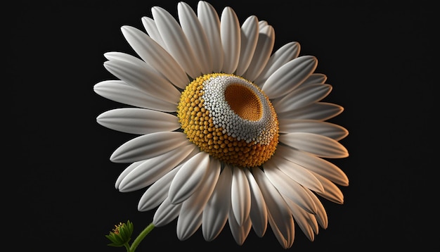 Daisy Flower Generative KI