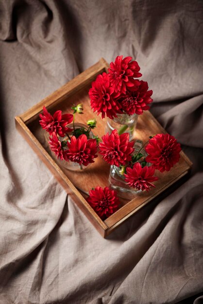 Dalias de flores rojas asombrosas