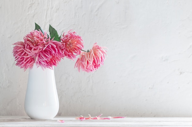 Dalias rosadas en florero blanco sobre pared blanca de fondo