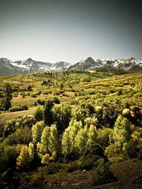 Dallas Divide es un ícono de Colorado, bien conocido por sus vívidos colores otoñales producidos por matorrales de roble y álamos.