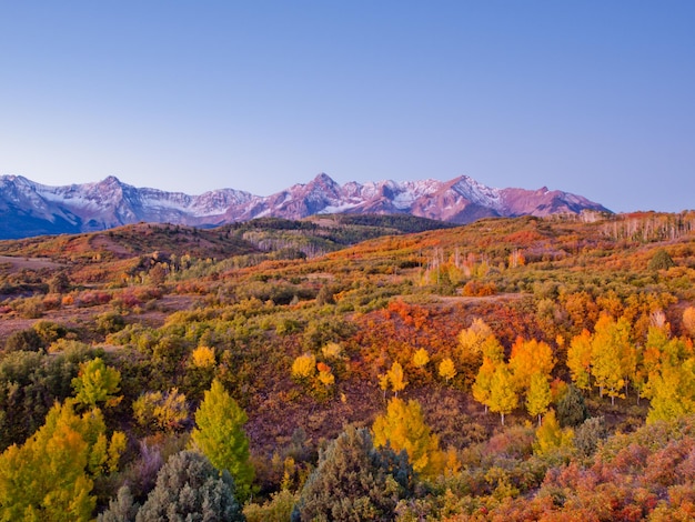 Dallas Divide es un ícono de Colorado, bien conocido por sus vívidos colores otoñales producidos por matorrales de roble y álamos.