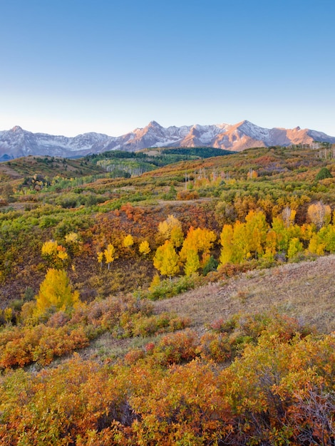 Dallas Divide es un ícono de Colorado, bien conocido por sus vívidos colores otoñales producidos por matorrales de roble y álamos.