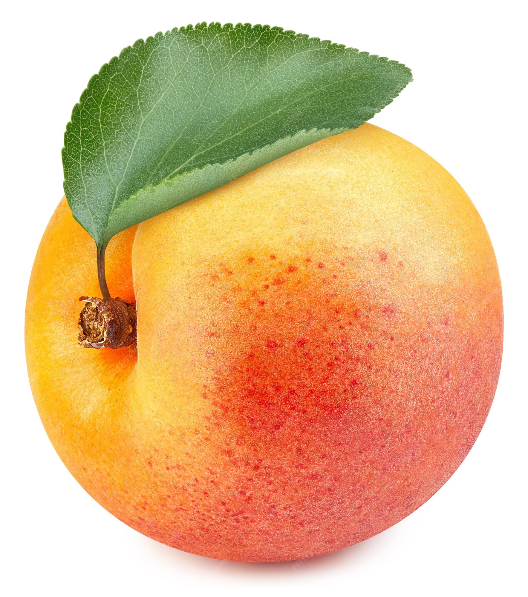 fresco saboroso Damasco fruta com semente isolado em transparente fundo  24108763 PNG