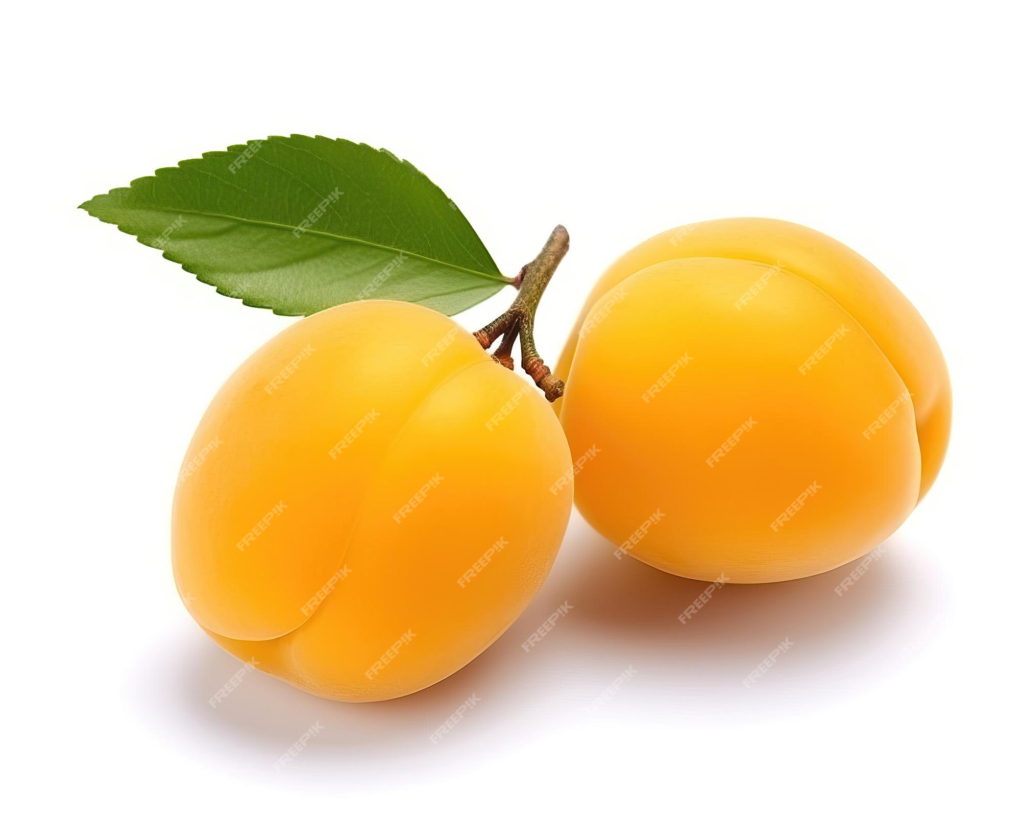 fresco saboroso Damasco fruta com semente isolado em transparente fundo  24108763 PNG