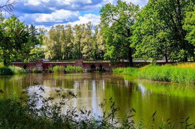 Dambridge no parque Catherine em Tsarskoye Selo em Pushkin Rússia