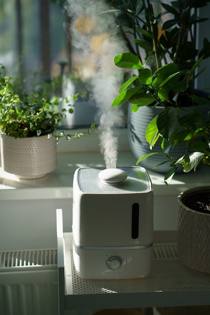 Dampf aus dem Luftbefeuchter befeuchtet trockene Luft umgeben von Zimmerpflanzen Hausgarten Pflanzenpflege