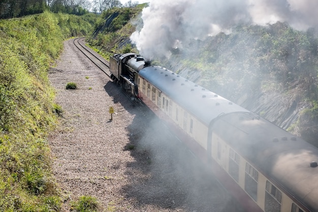 Dampfzug auf der Bluebell Railway Line in Sussex