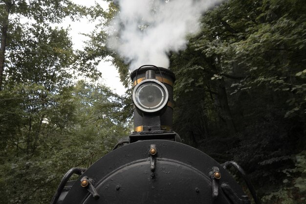 Foto dampfzug inmitten von bäumen im wald