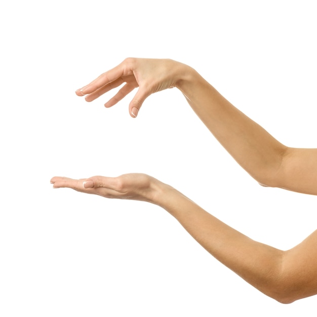 Dando, alcançando ou segurando a mão. Mão da mulher com manicure francesa gesticulando isolado na parede branca. Parte da série