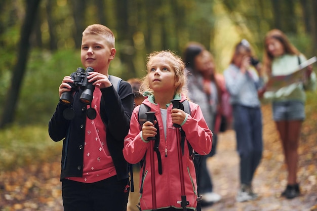 Dando un paseo Niños en el bosque verde durante el día de verano juntos