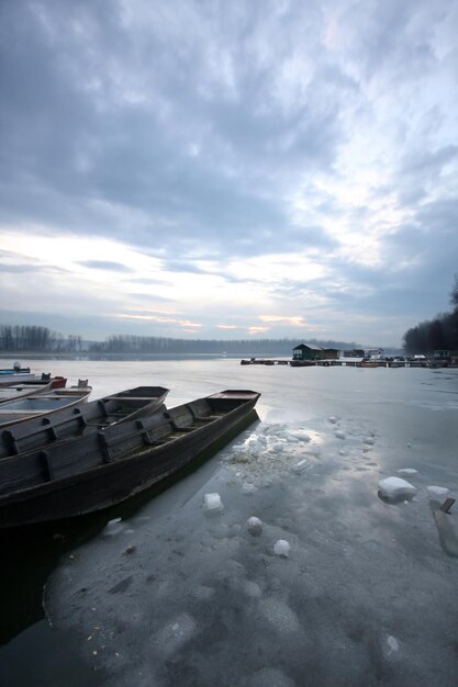 Danubio