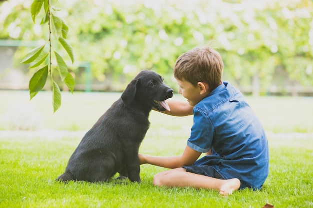 Dar tu amor a las mascotas acariciándolas