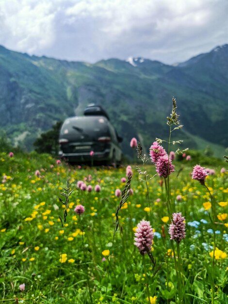 Das Auto befindet sich im Juni 2021 in der Schlucht des Cherek-Flusses in der Nähe des Ushtulu-Gebiets im Kaukasus