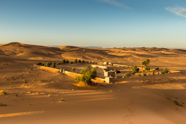 Foto das berberlager in der sahara