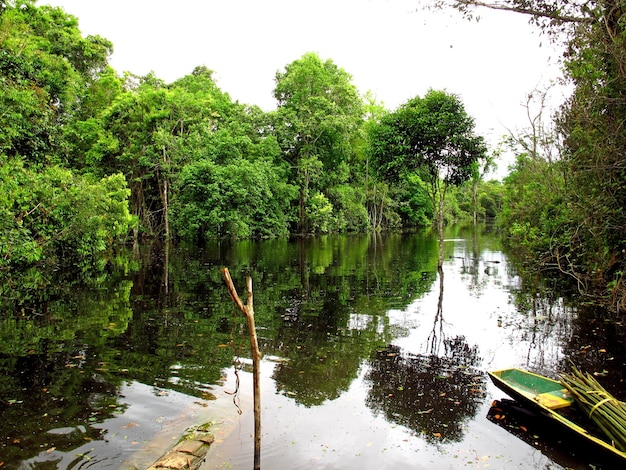 Das Boot im Amazonas in Peru Südamerika