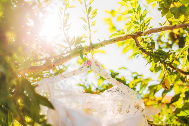 Das Brautkleid auf einem Kleiderbügel im Grünen