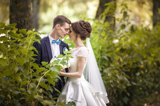 Das Brautpaar in der Natur Spaziergang des Brautpaares Hochzeitstag Der schönste Tag eines jungen Paares