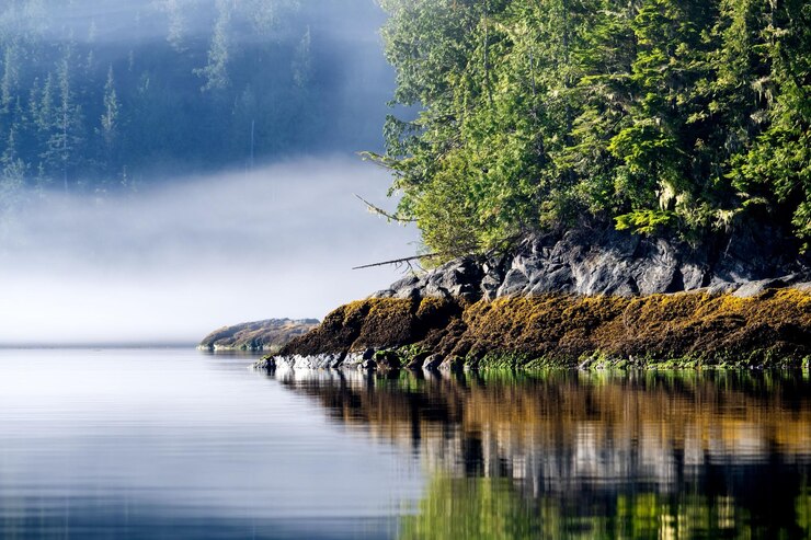 Foto das broughton-archipel liegt vor der küste von vancouver island, bc, kanada