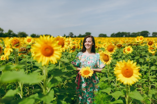 Das brünette Mädchen in einem Sonnenblumenfeld