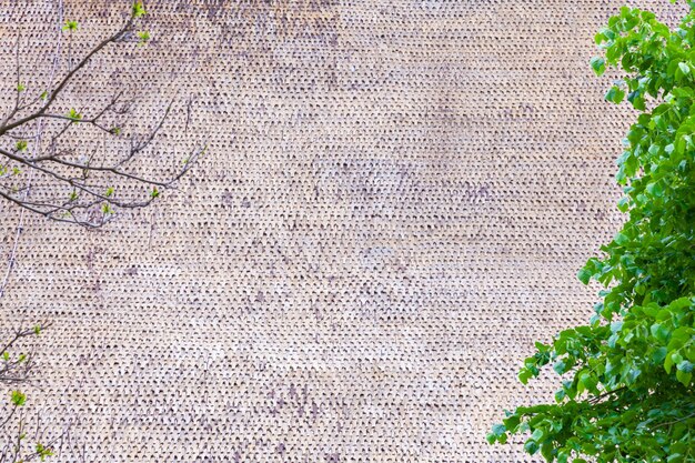 Foto das dach eines großen hauses mit hölzernen dachfliesen