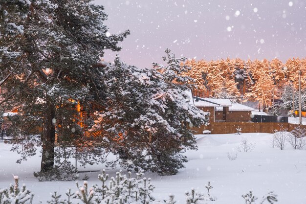 Das Dorfhaus im Winter ist mit Schnee bedeckt inmitten der Kiefern Winterlandschaft