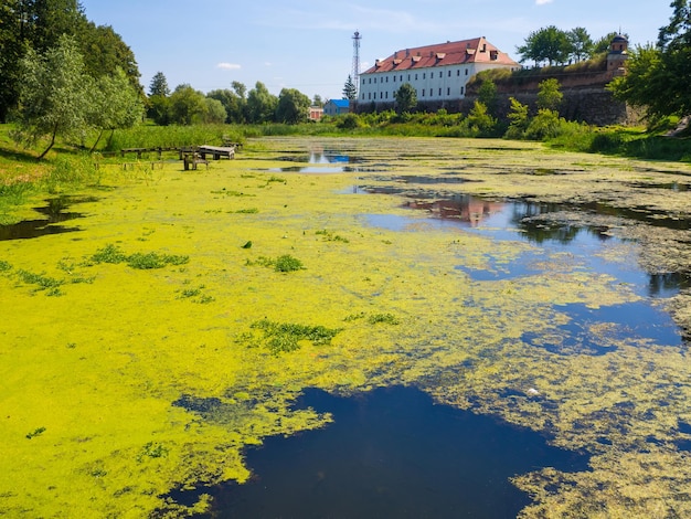 Das Dubno-Schloss Ukraine