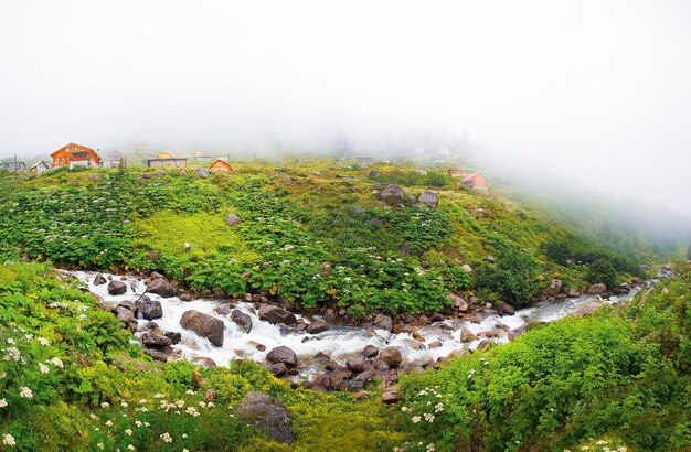 Das Elevit-Plateau ist der schönste Ort des Schwarzen Meeres Rize Türkei