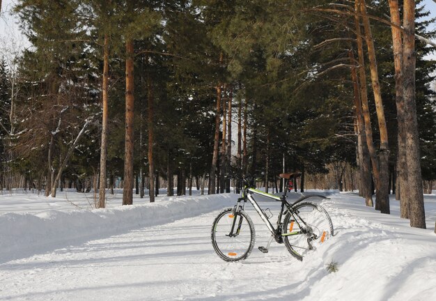 Das Fahrrad steht auf Schnee im Winter Park