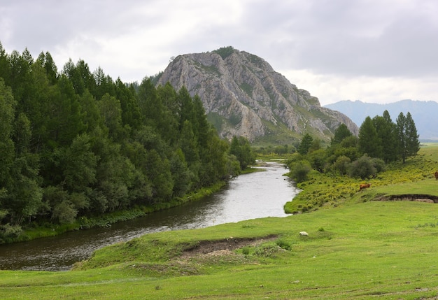 Das Flussbett auf dem Hintergrund eines hohen Felsens unter einem blauen bewölkten Himmel. Sibirien, Russland