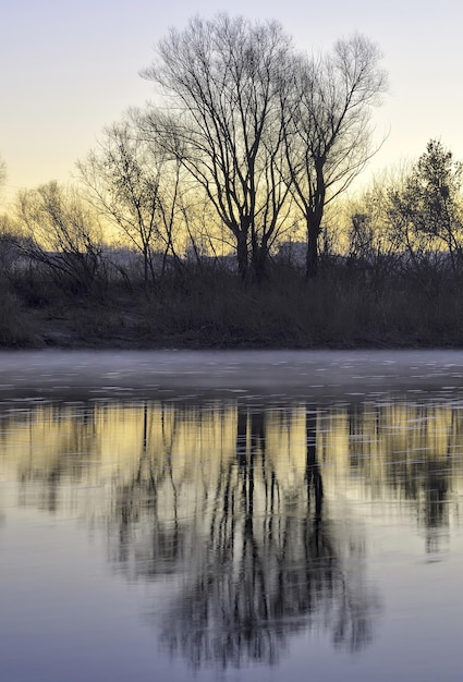 Das Flussufer im Herbst Kahle Bäume am Ufer des Flusses Ini spiegeln sich im Morgengrauen im Wasser