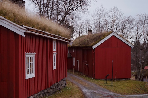 Foto das folkemuseum trondheim